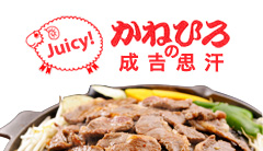 ˂Ђݷ޽ ޲ٻ