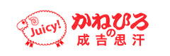 ˂Ђݷ޽ ޲ٻ